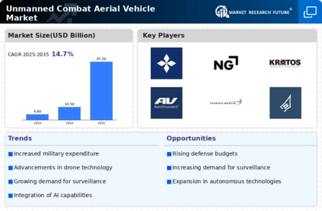 Unmanned Combat Aerial Vehicle Market Infographic