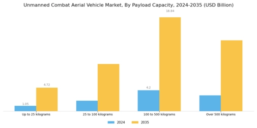 Unmanned Combat Aerial Vehicle Market Segment Image 3