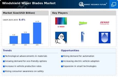 Windshield Wiper Blades Market Infographic