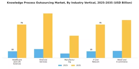 Knowledge Process Outsourcing Market Segment Image 1