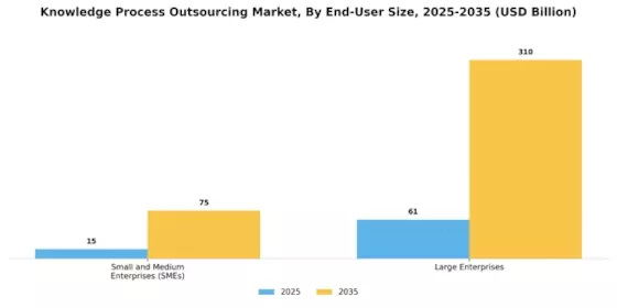 Knowledge Process Outsourcing Market Segment Image 4