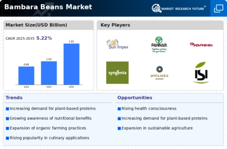 Bambara Beans Market Infographic