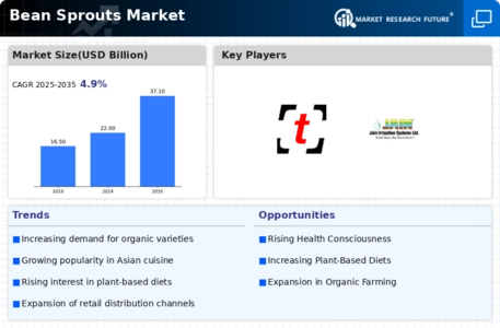 Bean Sprouts Market Infographic