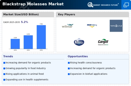 Blackstrap Molasses Market Infographic