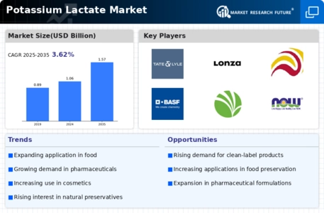 Potassium Lactate Market  Infographic