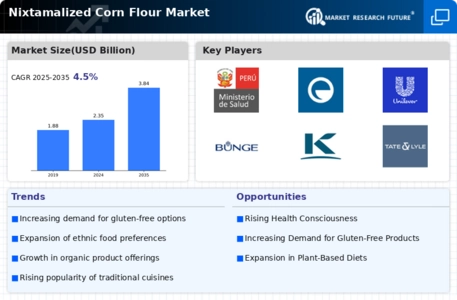 Nixtamalized Corn Flour Market  Infographic