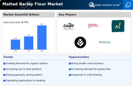 Malted Barley Flour Market Infographic