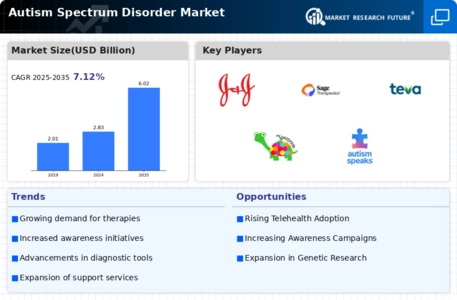 Autism Spectrum Disorder Market Infographic