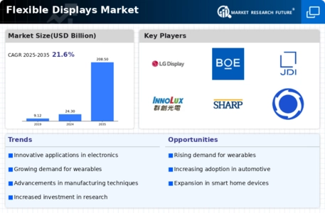 Flexible Displays Market Infographic