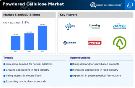 Powdered Cellulose Market  Infographic