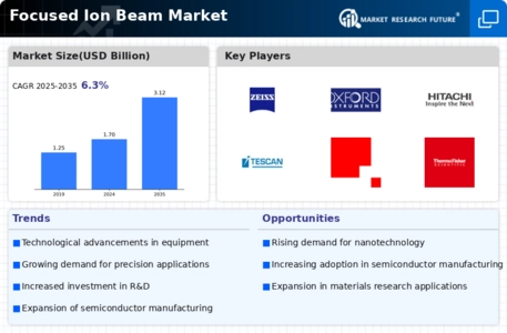 Focused Ion Beam Market Infographic