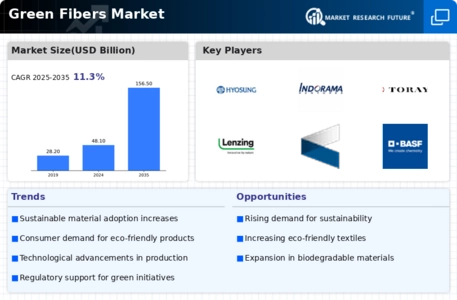 Green Fibers Market Infographic