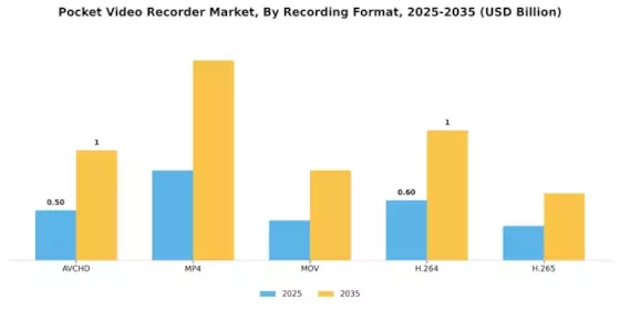 Pocket Video Recorder Market Segment Image 0