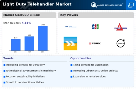 Light Duty Telehandler Market Infographic