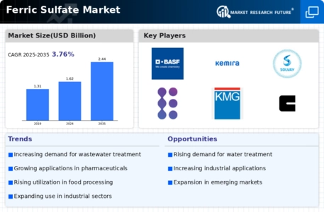 Ferric Sulfate Market Infographic