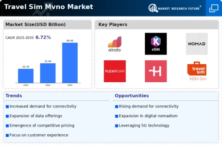 Travel Sim Mvno Market Infographic
