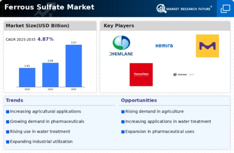 Ferrous Sulfate Market Infographic