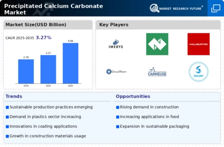 Precipitated Calcium Carbonate Market Infographic