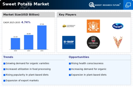 Sweet Potato Market Infographic