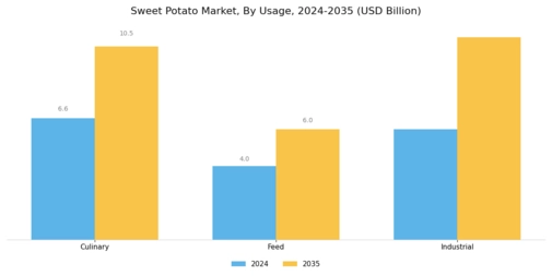 Sweet Potato Market Segment Image 2