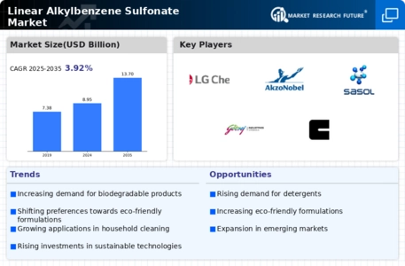 Linear Alkylbenzene Sulfonate Market Infographic