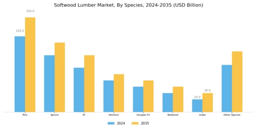 Softwood Lumber Market Segment Image 1