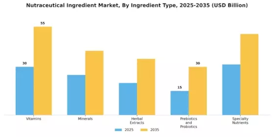 Nutraceutical Ingredient Market Segment Image 0