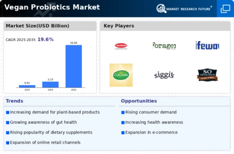 Vegan Probiotics Market Infographic