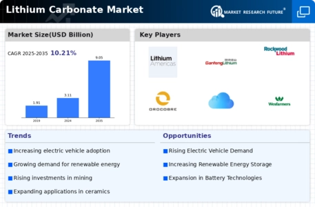 Lithium Carbonate Market  Infographic