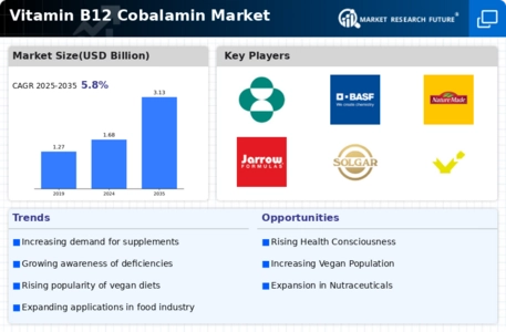 Vitamin B12 Cobalamin Market Infographic