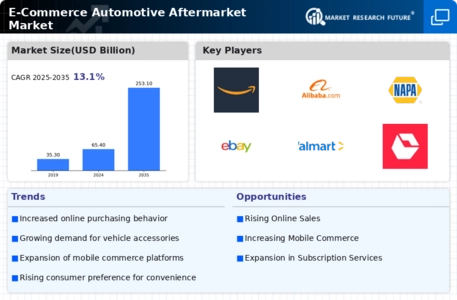 E Commerce Automotive Aftermarket Market Infographic