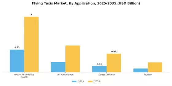 Flying Taxi Market Segment Image 2