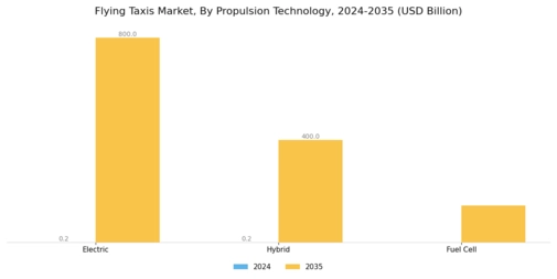 Flying Taxi Market Segment Image 1
