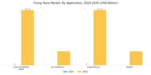 Flying Taxi Market Segment Image 2