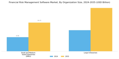 Financial Risk Management Software Market Segment Image 3