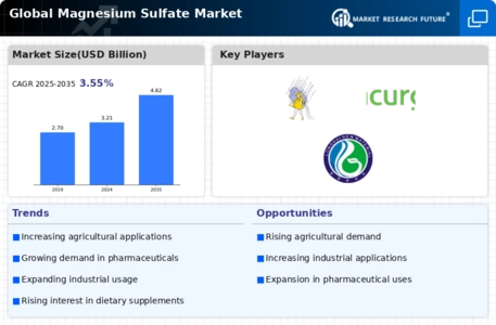 Magnesium Sulphate Market Infographic