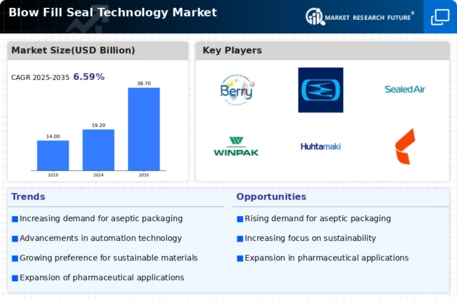 Blow Fill Seal Technology Market Infographic