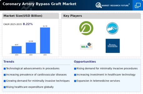 Coronary Artery Bypass Graft Market Infographic