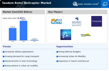 Tandem Rotor Helicopter Market Infographic