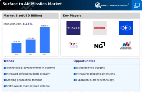 Surface to Air Missiles Market Infographic
