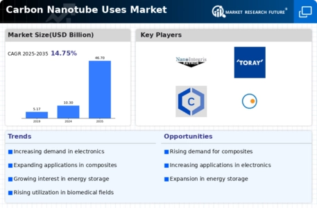 Carbon Nanotube Uses Market Infographic