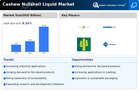 Cashew Nutshell Liquid Market Infographic