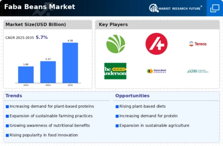 Faba Beans Market Infographic
