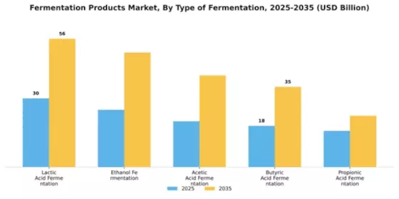 Fermentation Products Market Segment Image 2