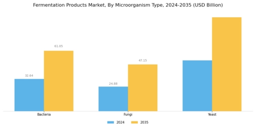 Fermentation Products Market Segment Image 2