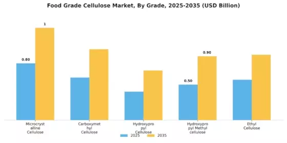 Food Grade Cellulose Market Segment Image 0
