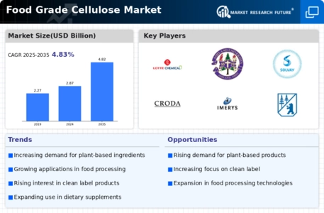 Food Grade Cellulose Market Infographic