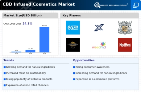 Cbd Infused Cosmetics Market Infographic