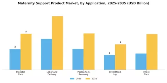Maternity Support Product Market Segment Image 1