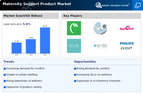 Maternity Support Product Market Infographic